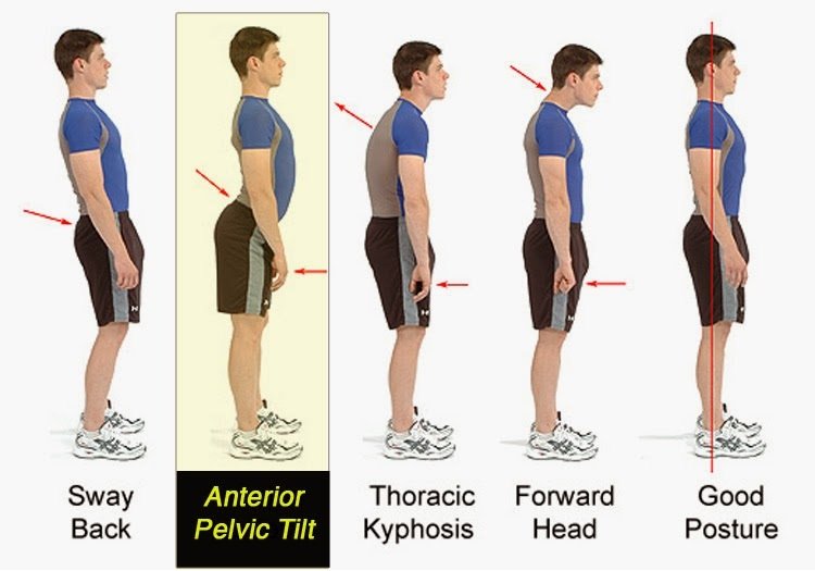 Lower Back Pain During Workout