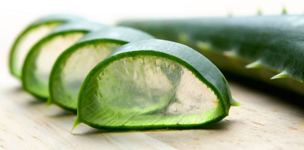 aloe vera for mouth ulcers