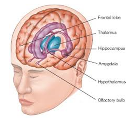 response for SURVIVAL