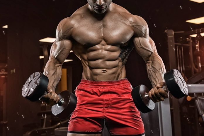 Why am I not gaining muscle, Reasons you're not gaining muscle