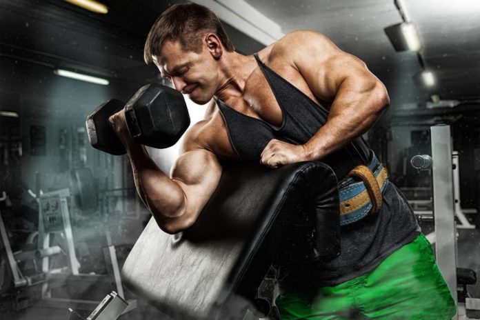 How long does it take to build muscles, How to grow muscle fast