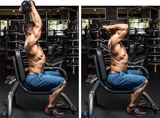 Seated Overhead Dumbbell Extension