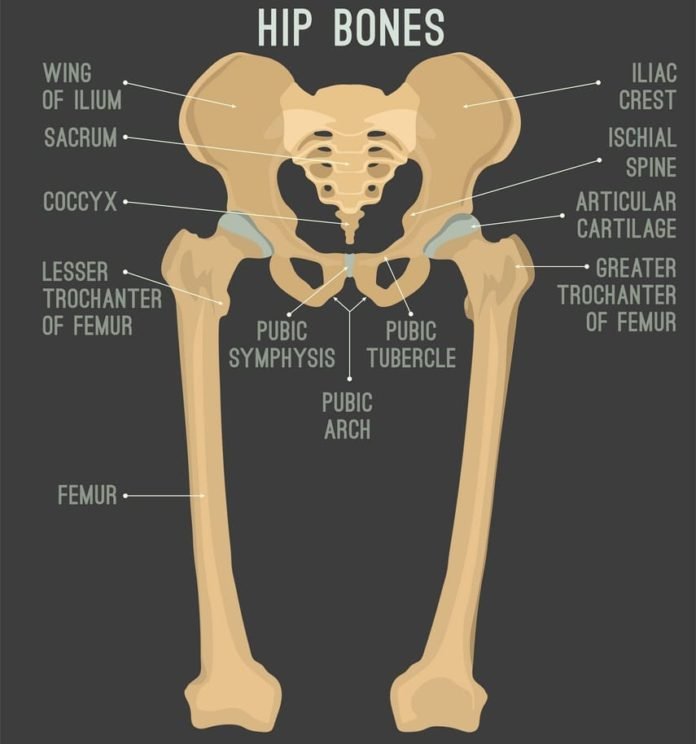 How To Crack Your Hip Safely? MyBeautyGym