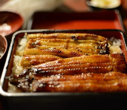 What Does Eel Taste Like