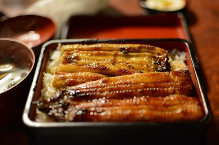 What Does Eel Taste Like