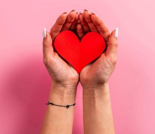 how much does a heart weigh