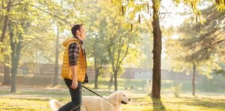 Walking The Most Underrated Form Of Exercise