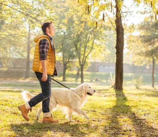 Walking The Most Underrated Form Of Exercise