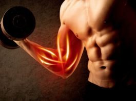 How You Can Bulk Up Your Muscles While Working Out