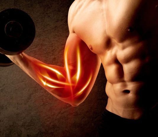 How You Can Bulk Up Your Muscles While Working Out