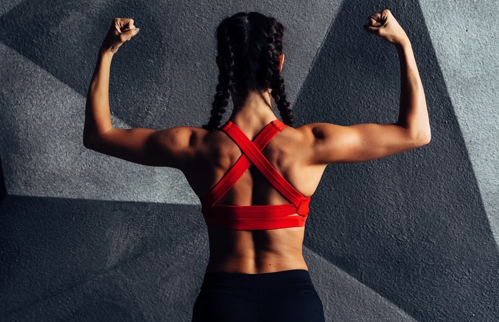 How to bulk up your muscles