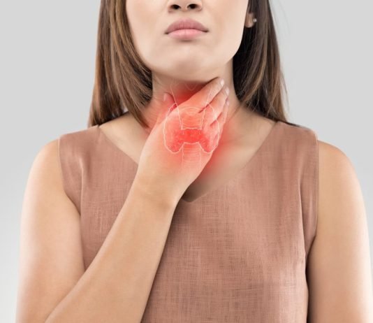 Thyroid and Gut Health Connection