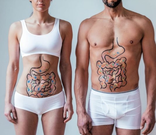 Reasons to Make Friends with Gut Bacteria to Lose Weight