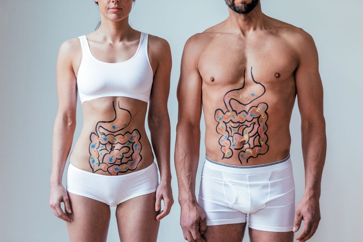 Reasons to Make Friends with Gut Bacteria to Lose Weight