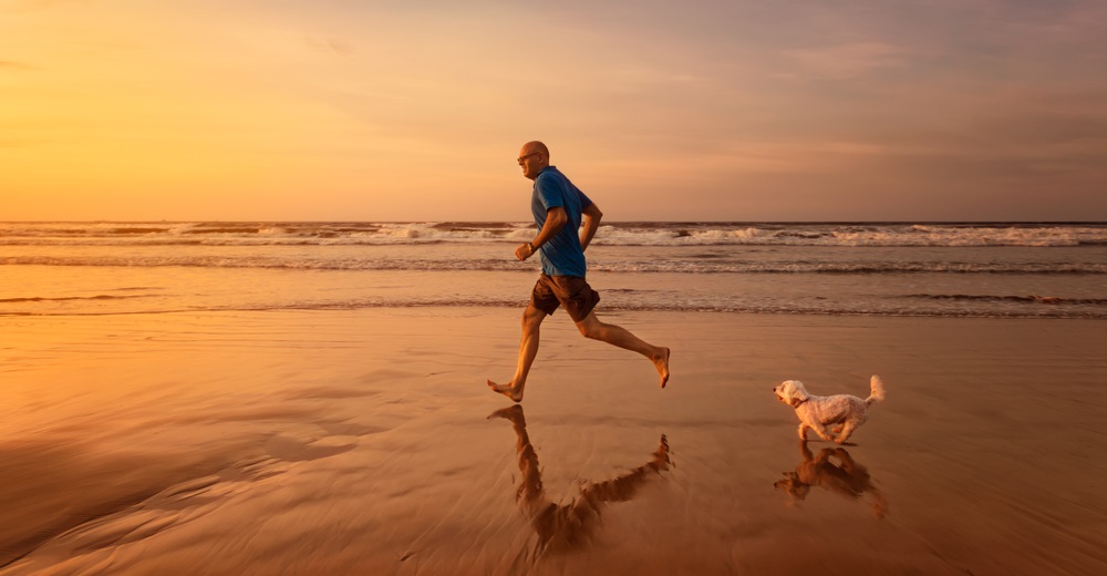 benefits-of-running-with-your-dog-Running Buddy