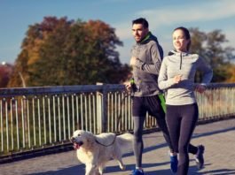 benefits-of-running-with-your-dog