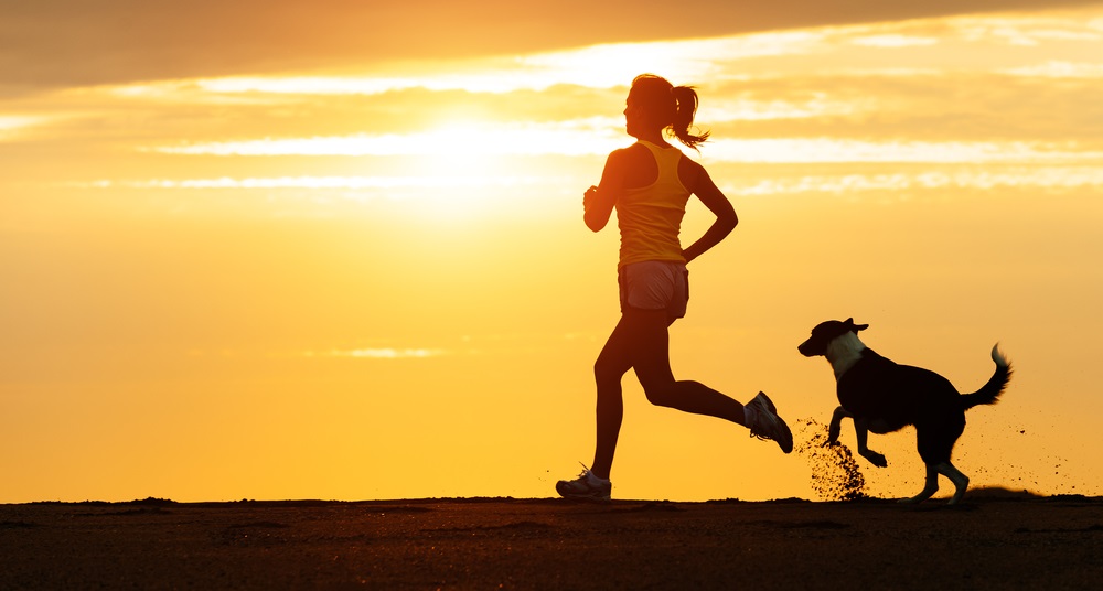 benefits-of-running-with-your-dog-Running Buddy