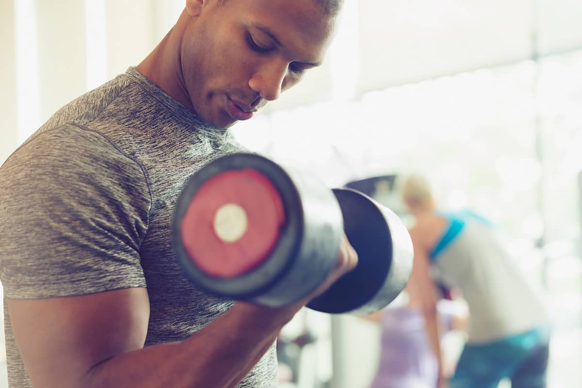 Expert Workout Routines to Correctly Build Your Biceps