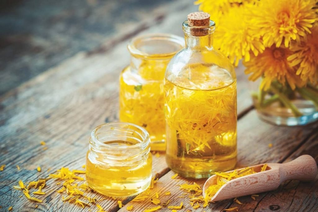 How to Make Dandelion Wine (Recipe) MyBeautyGym