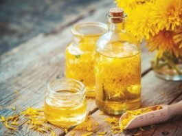 How To Make Dandelion Wine Recipe