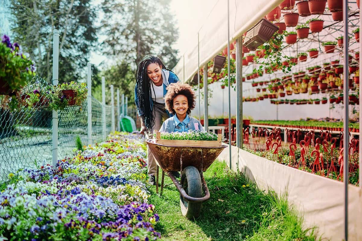 Gardening Trends That Add Value To Your Home | MyBeautyGym