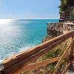 The Physical Benefits of Being in Nature