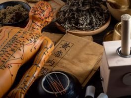 Family Nurse Practitioners And Holistic Healthcare