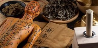 Family Nurse Practitioners And Holistic Healthcare