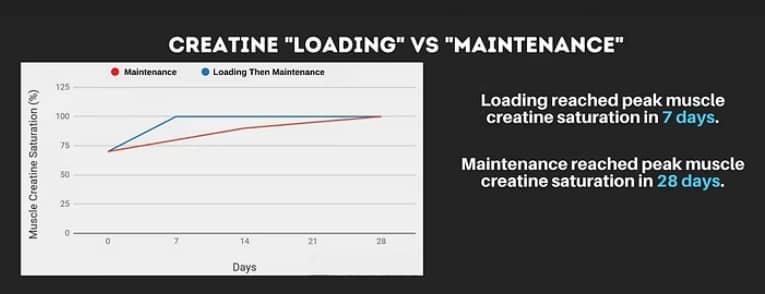 How much water should you drink with creatine