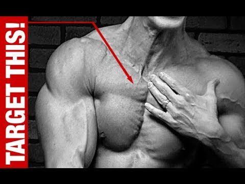 upper-chest